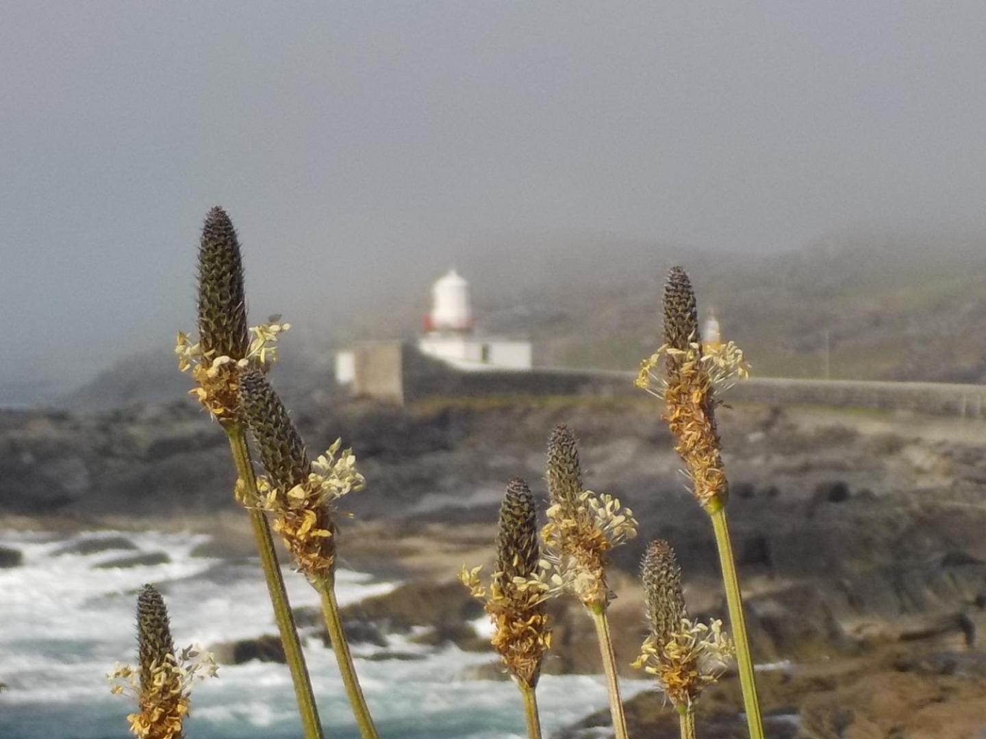 Horizon View Lodge Bed And Breakfast Glanleam Road Knightstown Valentia Island County Kerry V23 W447 Ireland Knights Town Buitenkant foto